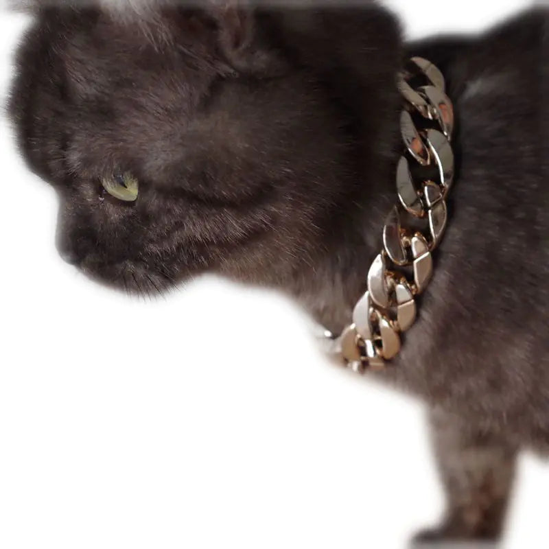 Pet Necklace Chain, Pet Accessories, Gold Chain for Pets